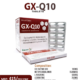 GX-Q10